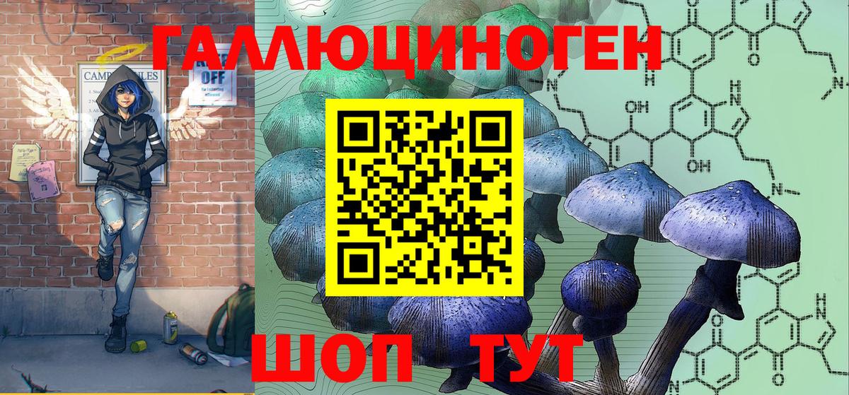 цена   Псилоцибиновые грибы Magic Shrooms  Вход с VPN  Димитровград 